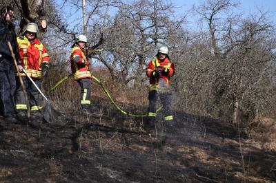 REMSHALDEN: Flaechebrand - Feuerwehr im Einsatz 